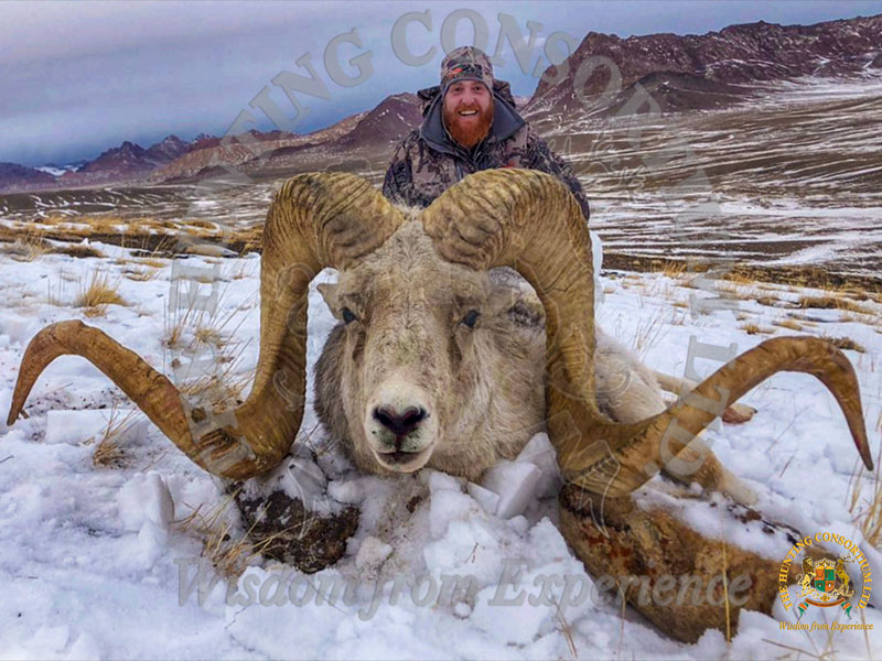 Marco Polo Argali | Hunting Consortium Marco Polo Argali Click Here for  more Information Click Here for Video Introduction to Marco Polo Sheep  Hunting: Arguably the most beautiful and prestigious of all