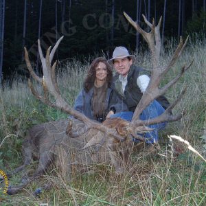Red Deer | Hunting Consortium Introduction to Red Stag Hunting: No ...