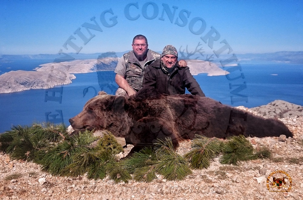 Croatia Bear Hunting