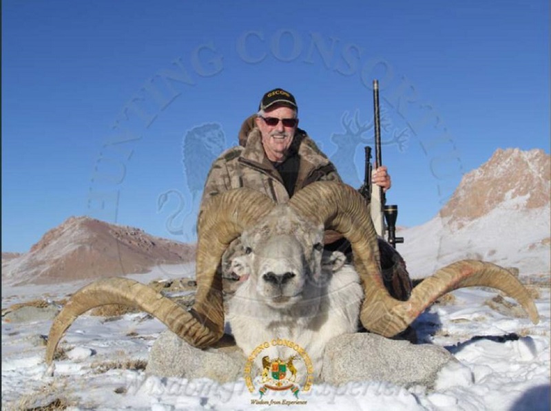 Marco Polo Sheep Hunting In Tajikistan
