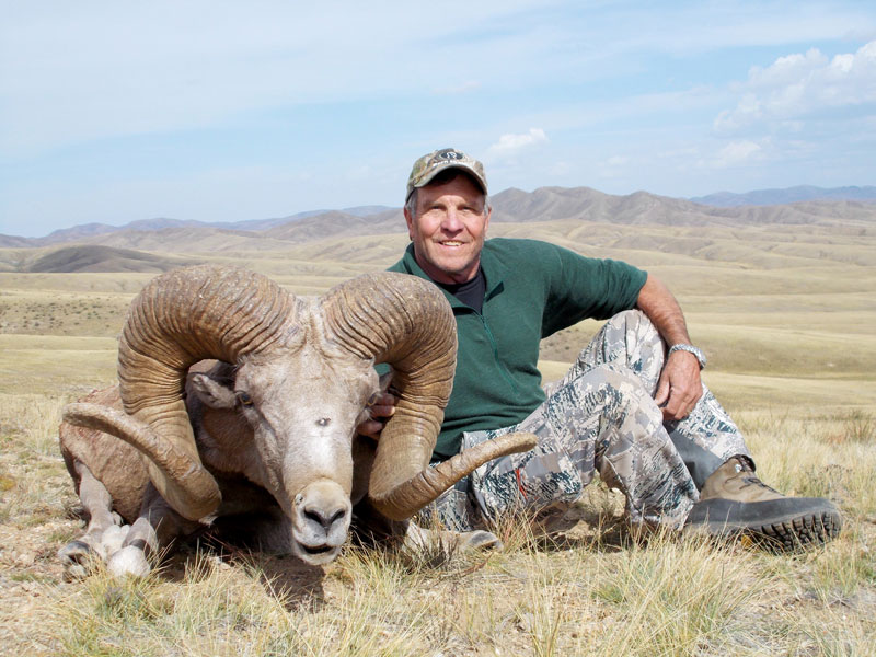 Mongolian Argalis | Hunting Consortium The Hunting Consortium Ltd. is ...
