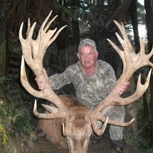 Red Deer | Hunting Consortium