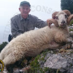 Bruce Keller Dalmatian Wild Sheep Hunting in Croatia.