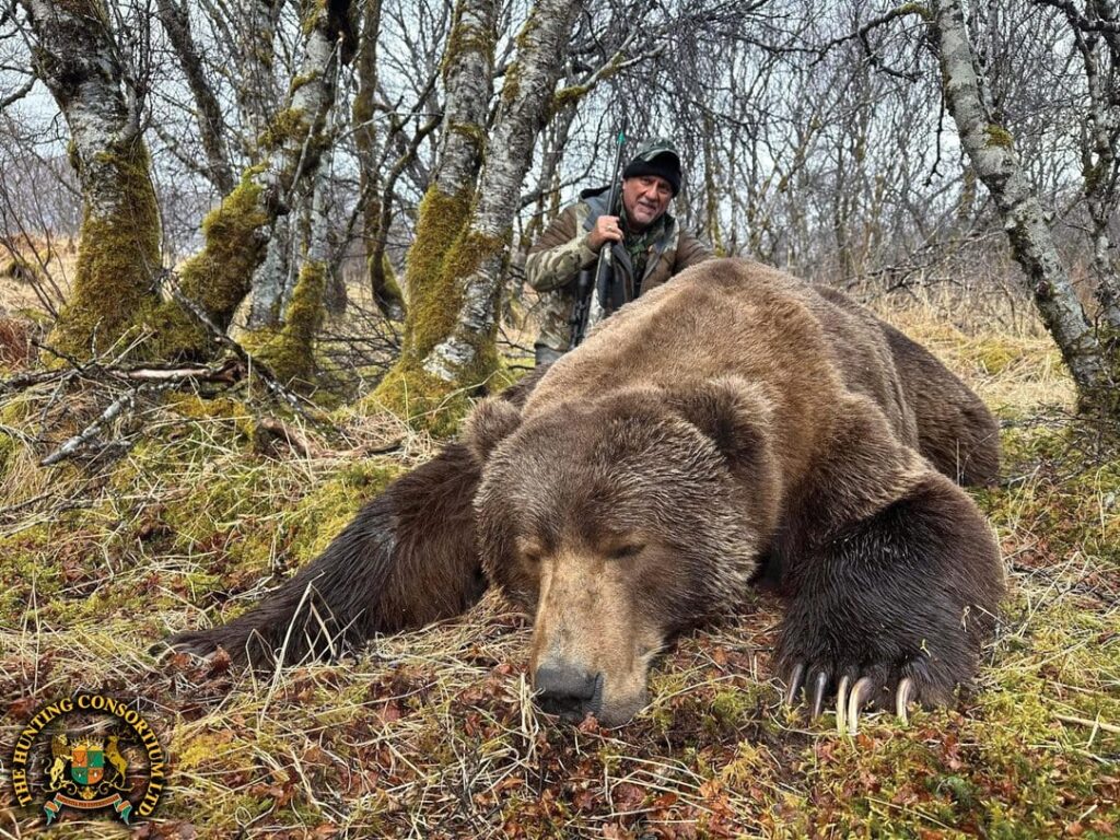 Kodiak Brown Bear Hunting in Alaska Hunts for Kodiak Brown bear Hunting in North America