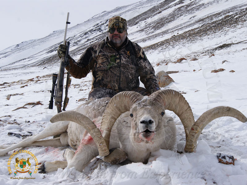 Marco Polo Argali Hunting picture of a hunter with a sheep