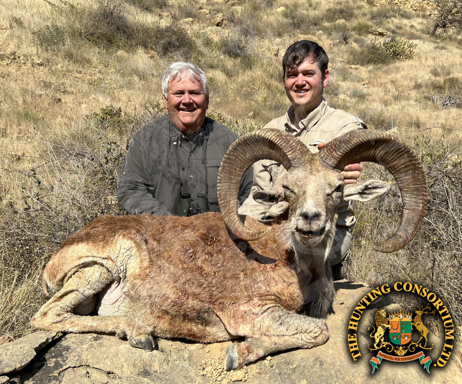 Pakistan Hunter Hunting In Pakistan: A Comprehensive Guide To Pakistan Hunts