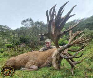 Photo of Red Stag Hunting New Zealand. Red Stag hunting in New Zealand. Red Stag hunts in New Zealand.