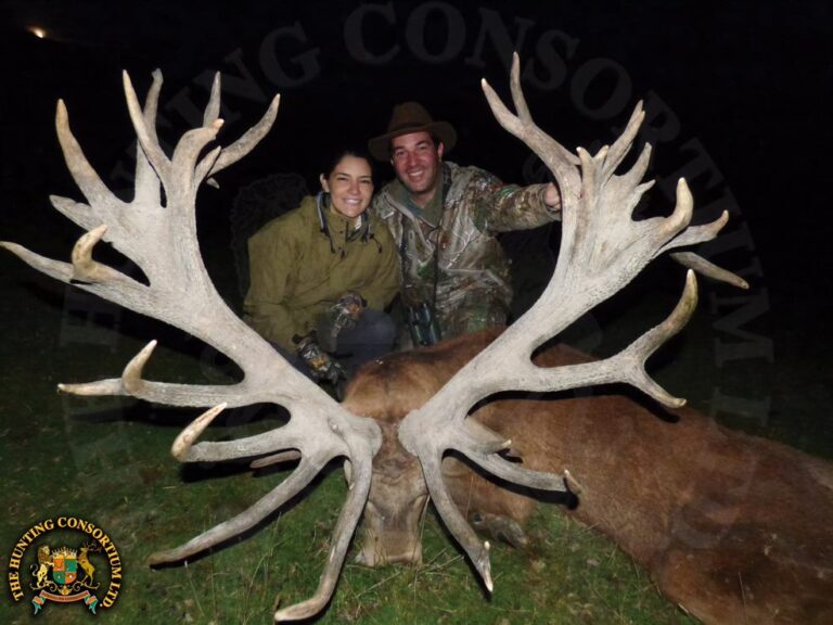 Red Stag Hunting New Zealand. Red Stag hunting in New Zealand. Red Stag hunts in New Zealand hunts2