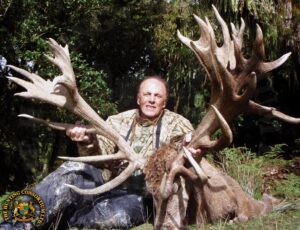 Red Stag Hunting New Zealand. Red Stag hunting in New Zealand. Red Stag hunts in New Zealand hunts4