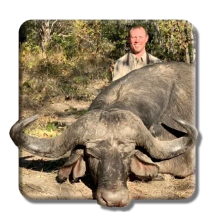 Cape Buffalo copy