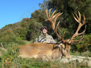 Red Stag Hunting in the South Pacific 10
