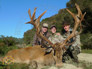 Red Stag Hunting in the South Pacific 8