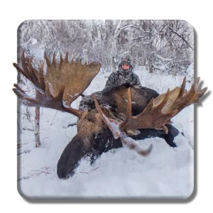 Russian Moose copy 1