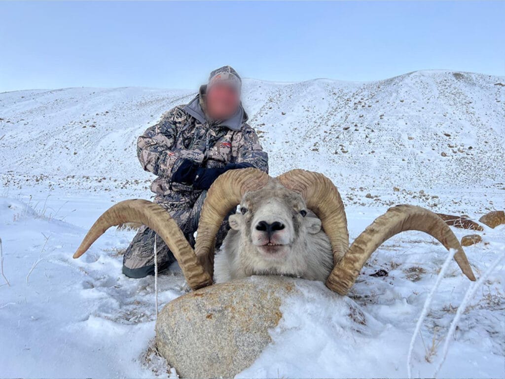 63 inch Marco Polo Argali Sheep Hunting Trophy