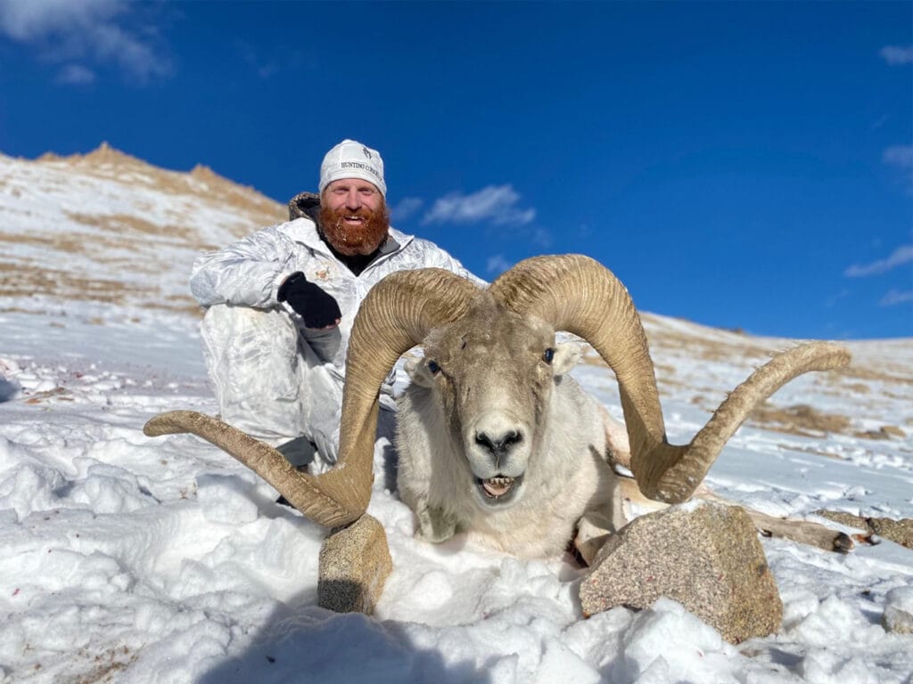 58 inch Marco Polo Sheep Hunt Trophy