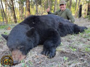 Black Bear Hunting in Canada. Vancouver Island Black Bear hunting. Black bear hunting in BC
