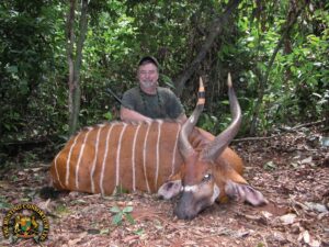 Bob Kern Bongo Hunting in Cameroon. Bongo Hunts in Cameroon