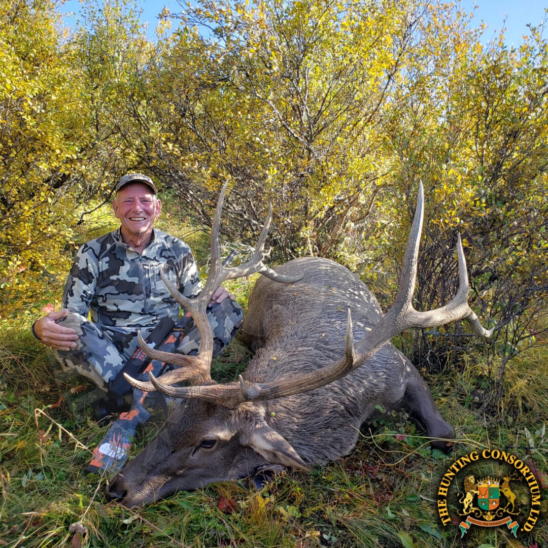 Altai Wapiti / Maral Stag Hunting | Hunting Consultants & Hunt Brokers