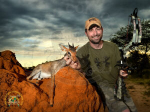 African Dik-dik Hunting | Dik-Dik Hunting In Africa