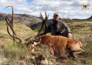 Scottish Red Stag Hunting in Scotland