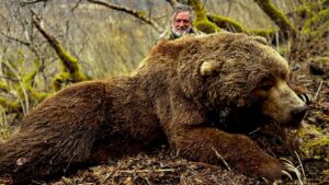 10' Kodiak Brown Bear from a Kodiak Brown Bear Hunt in Alaska, 2025