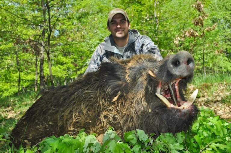 Robert Kern Boar Hunting