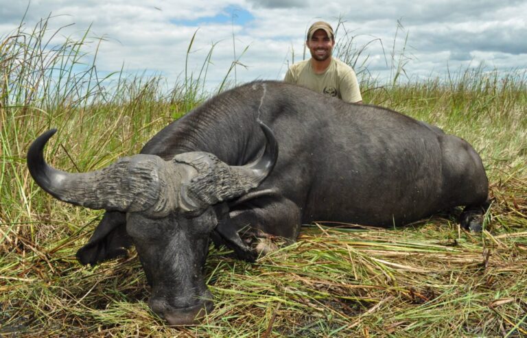 Robert Kern Cape Buffalo