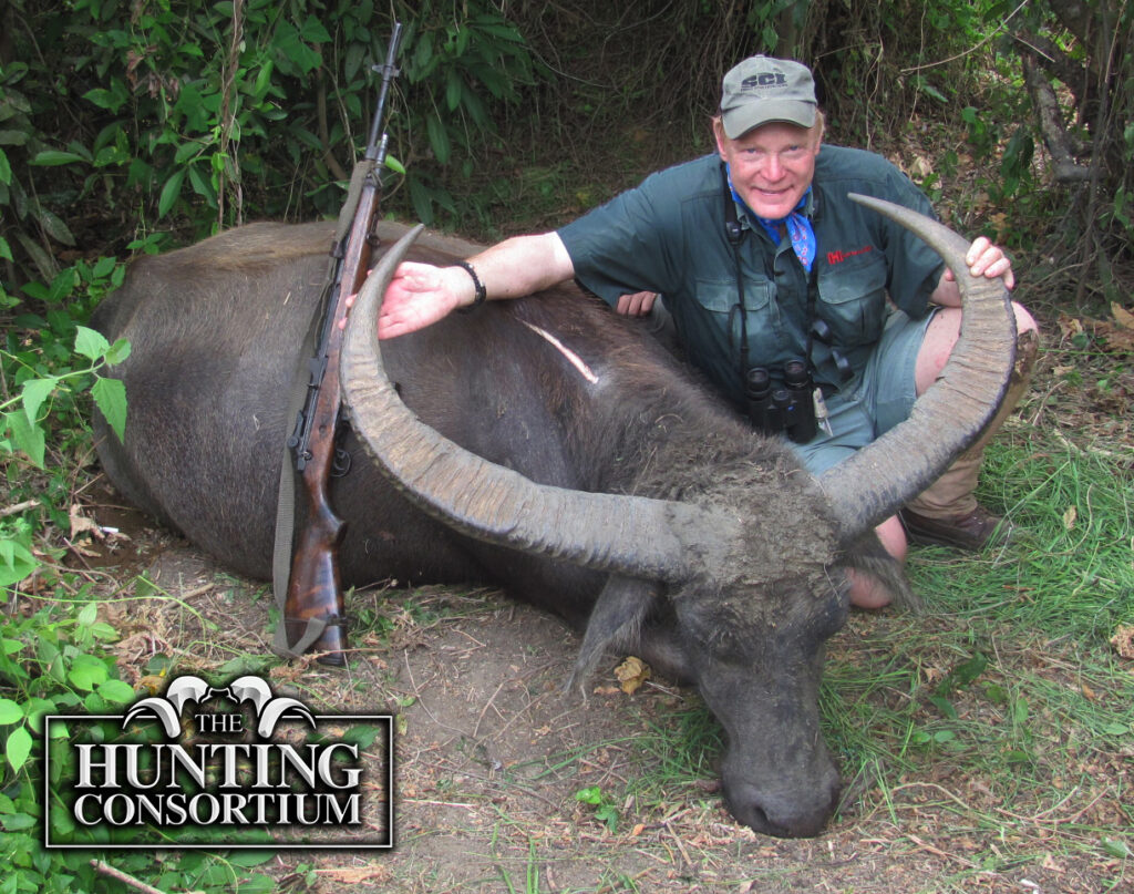 Boddington Asiatic Water Buffalo 2013 Hunting Consortium Phillipines copy