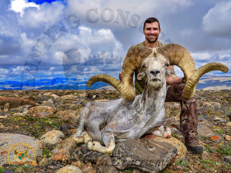 Rob Kern with a harvested wild sheep in rugged mountain country, representing the current leadership of one of the longest operating international hunting consultants.