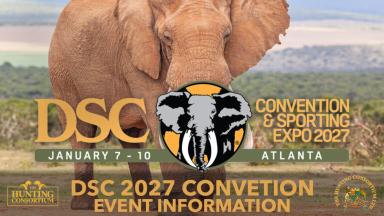 DSC 2027 Convention Event Info copy